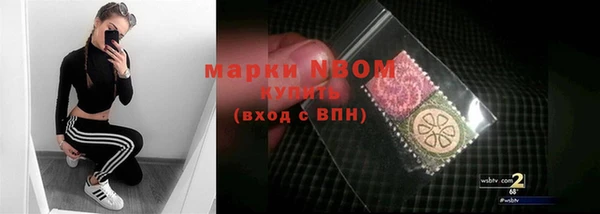 бошки Алексин