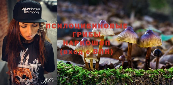 бошки Алексин