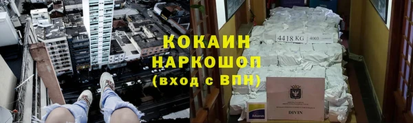 бошки Алексин