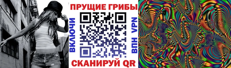kraken вход  как найти   Радужный  Галлюциногенные грибы Magic Shrooms 
